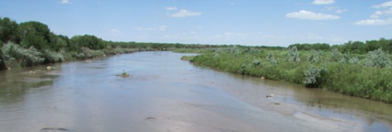 Farmers, Fish, and Flows All Suffer on the Middle Rio Grande