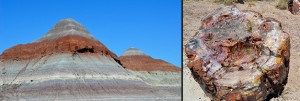 Friday Voyage: Petrified Forest and Painted Desert