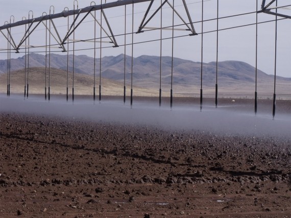Irrigation in the desert